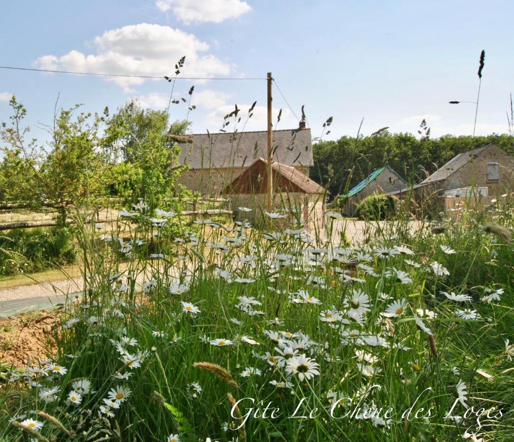 Gite Familial Pour 6 Pers En Campagne Bouere Luaran gambar